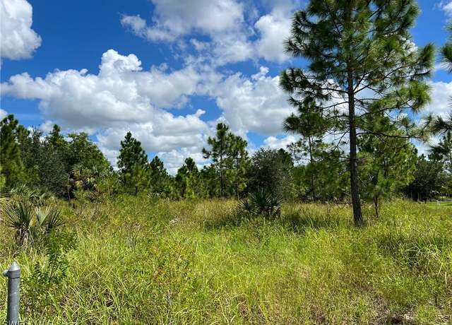 Property at 705 Mindora Ave, Lehigh Acres, FL 33972
