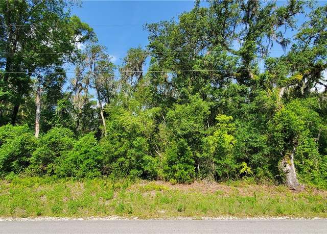 Property at 8001 Shasta St, Webster, FL 33597