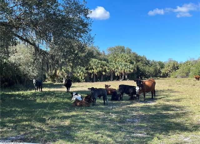 Property at Roberts Ranch Rd, Clewiston, FL 33440