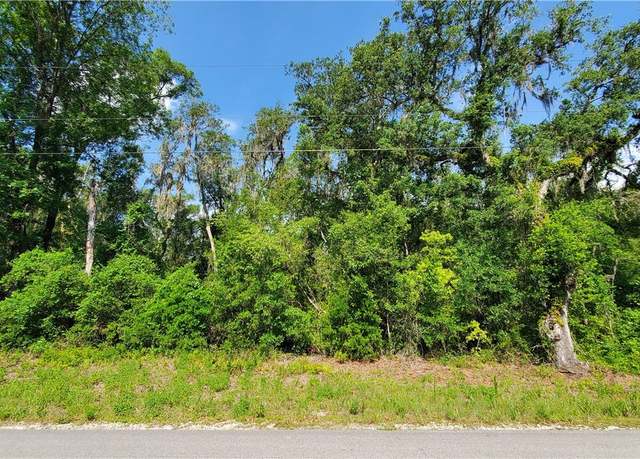 Property at 7491 Shasta St, Webster, FL 33597