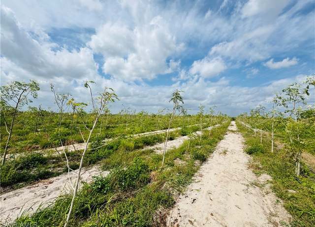 Property at 4276 2nd Rd, Labelle, FL 33935