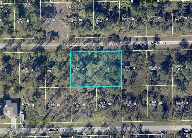 Property at 1216 Ramus St E, Lehigh Acres, FL 33974