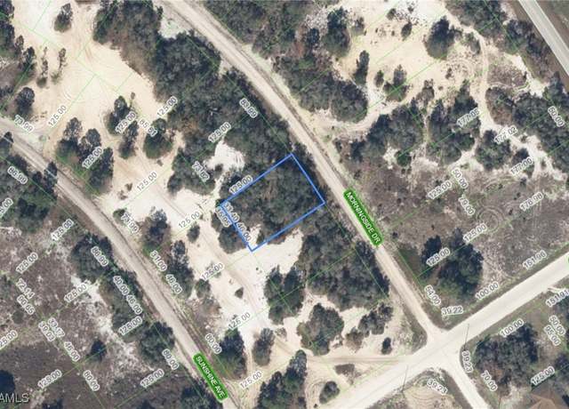 Property at 491 Morningside Dr, Lake Placid, FL 33852
