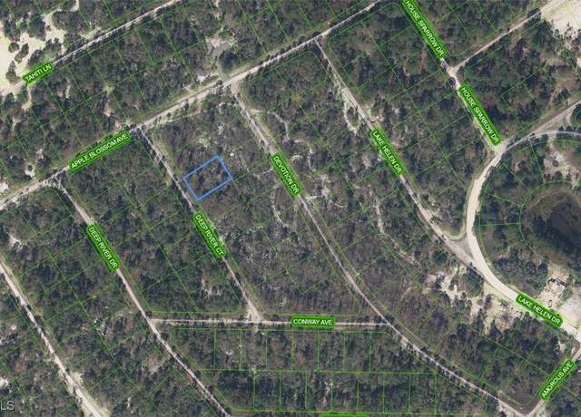 Property at 523 Deep River Ct, Lake Placid, FL 33852