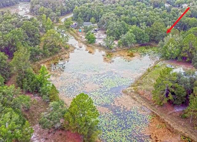 Property at 34132 August Ave, Webster, FL 33597