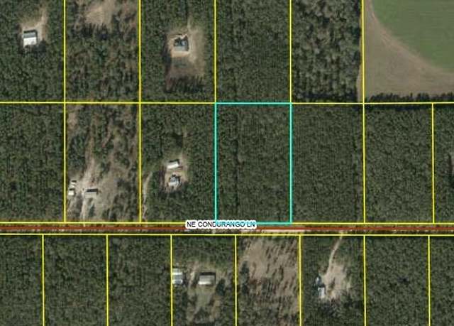Property at Cordurango Ln NE, Lee, FL 32059