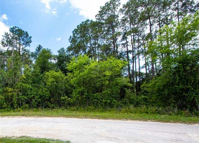Property at 34160 Haas Dr, Webster, FL 33597