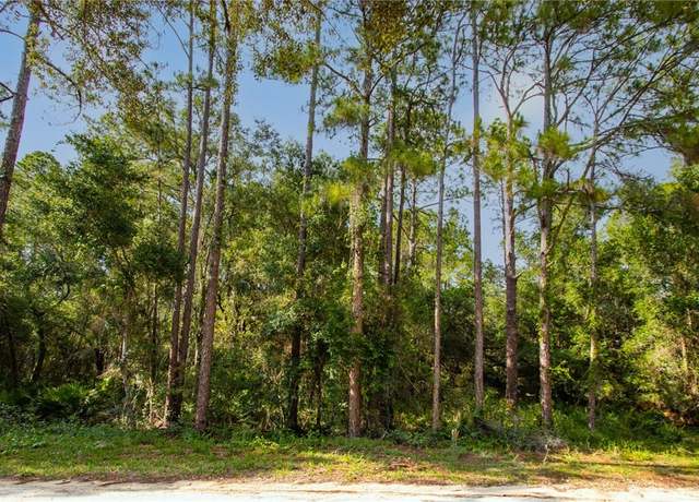 Property at 7176 Norway St, Webster, FL 33597