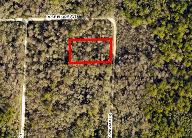 Property at 8009 Packingham St, Webster, FL 33597