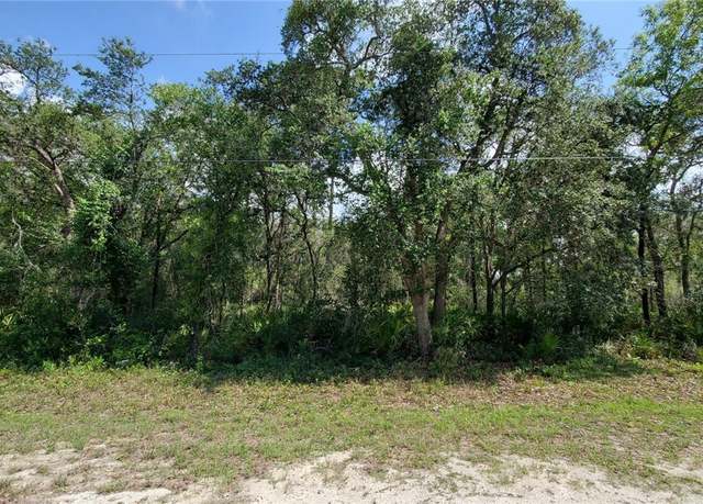 Property at 35017 Primrose Ln, Webster, FL 33597