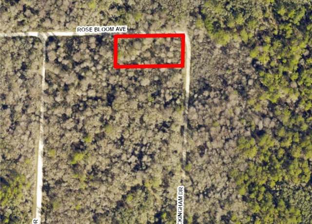 Property at 33464 Packingham Dr, Webster, FL 33597
