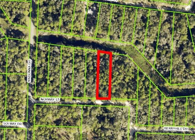Property at 7200 Norway St, Webster, FL 33597