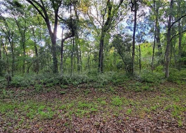 Property at 0 Kenyon Dr, Webster, FL 33597