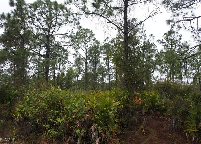 Property at 811 State Ave, Lehigh Acres, FL 33972