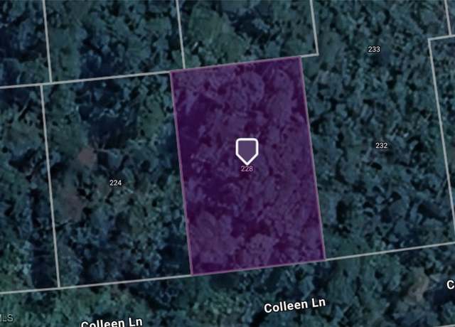 Property at 228 Coleen Ln, Lake Placid, FL 33852