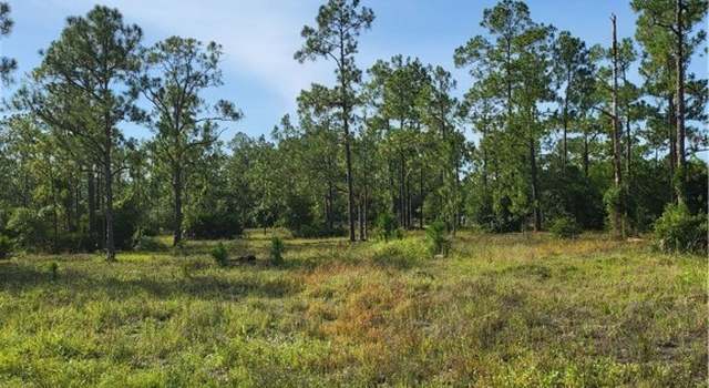 Photo of 871 Spaulding St E, Lehigh Acres, FL 33974