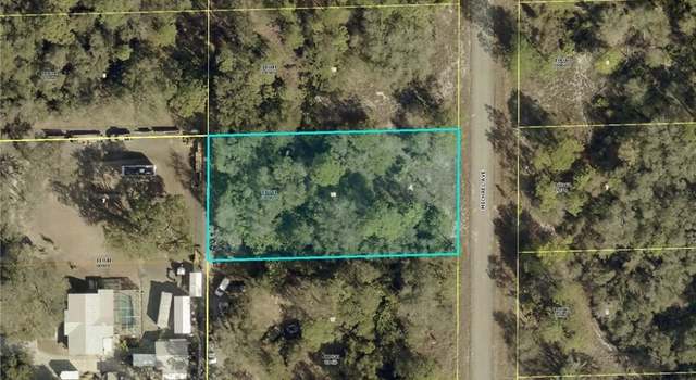 Photo of 1511 Michael Ave, Lehigh Acres, FL 33972
