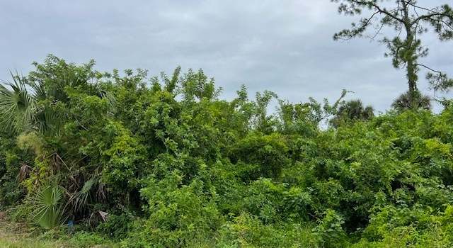 Photo of 619 Clancy St E, Lehigh Acres, FL 33974