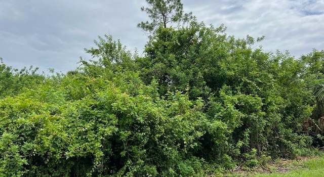 Photo of 619 Clancy St E, Lehigh Acres, FL 33974