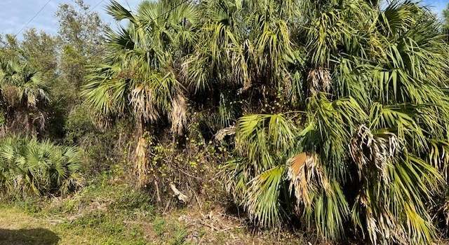Photo of Property in Naples, FL 34117
