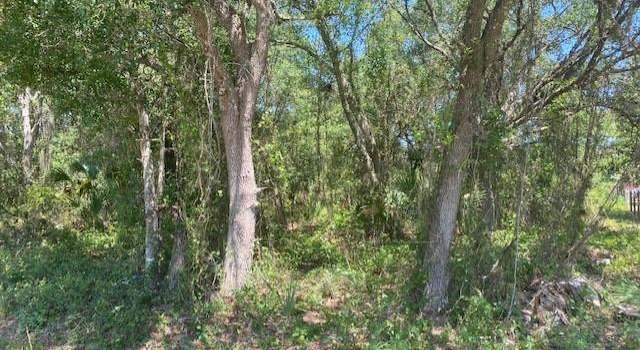 Photo of 8012 Oak (5th St) Ave, Palmdale, FL 33944