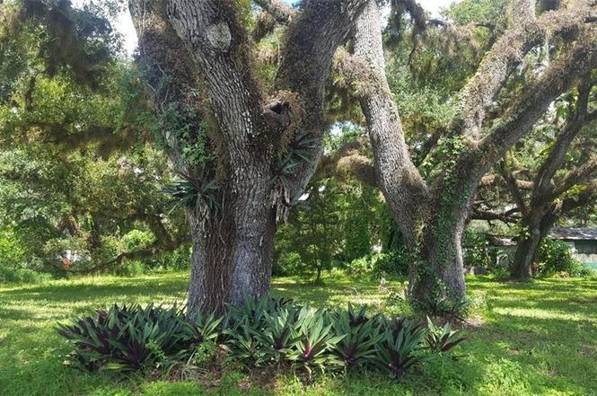 Hendry St, LABELLE, FL 33935 MLS# 219062865 Redfin