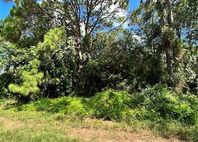 Property at 216 Anderson St NE, Lake Placid, FL 33852
