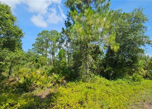 Property at 232 Nancy Ave S, Lehigh Acres, FL 33974