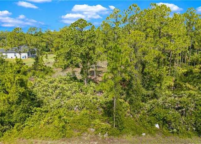 Property at 1305 Louis Ave, Lehigh Acres, FL 33972