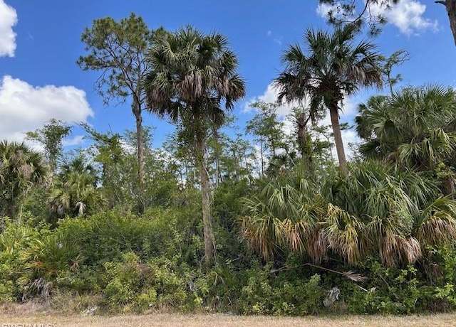 Property at 27XX 18th Ave NE, Naples, FL 34120