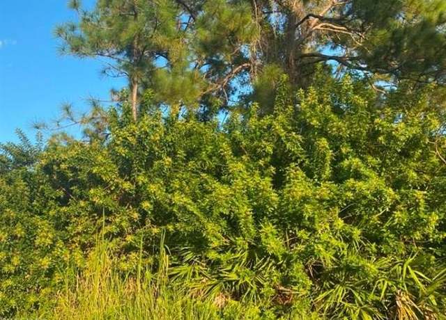 Property at 2401/2403 Owen Ave S, Lehigh Acres, FL 33973