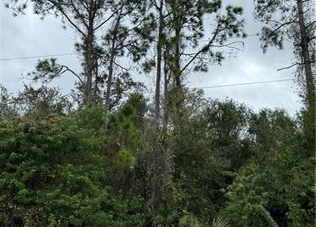 Property at 904 Sheldon Ave, Lehigh Acres, FL 33936