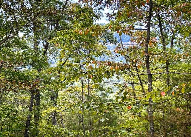 Property at 00A Highway 11, Landrum, SC 29356