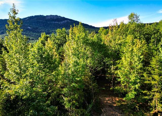 Property at 00B Highway 11, Landrum, SC 29356
