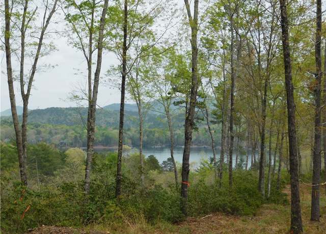 Property at Lot 1 Old Chapman Bridge Rd, Salem, SC 29676