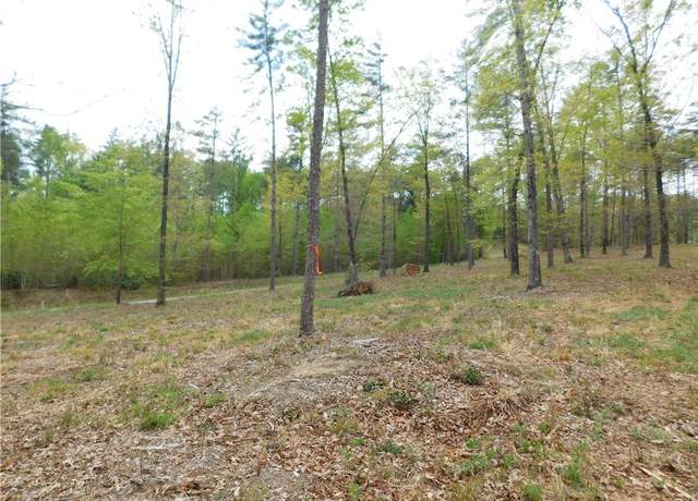 Property at Lot 3 Old Chapman Bridge Rd, Salem, SC 29676