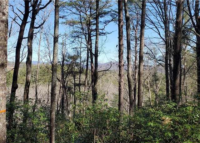 Property at 116 Sweetshrub Way, Sunset, SC 29685