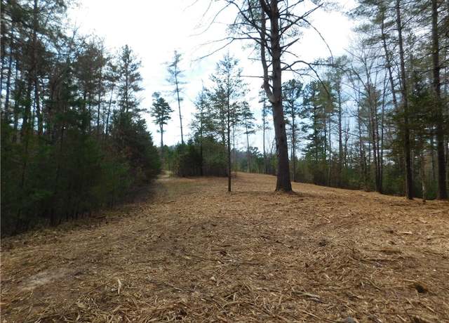 Property at 110 Horseback Trl, Sunset, SC 29685
