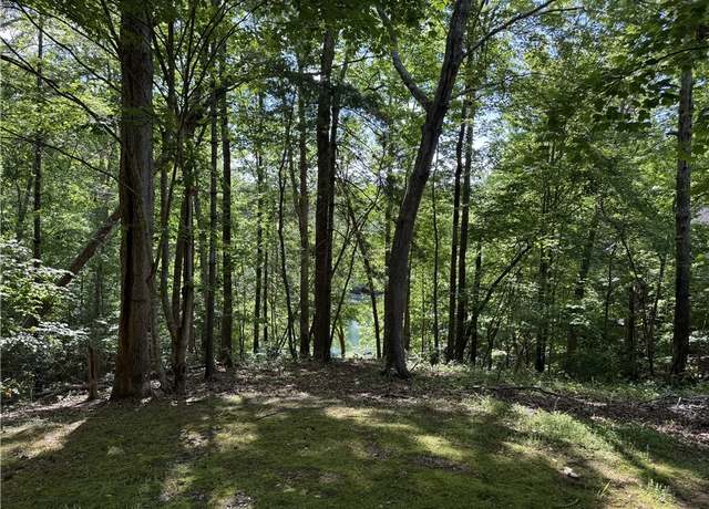 Property at 601 Wind Flower Dr, Sunset, SC 29685