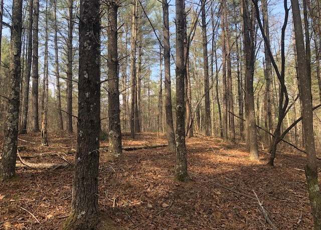 Property at 101 Dutchman's Pipe Trl, Sunset, SC 29685