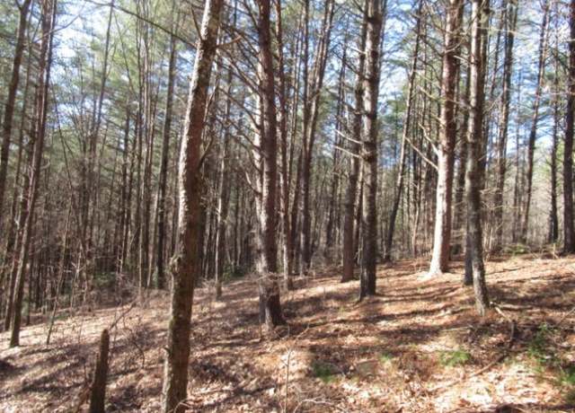 Property at Lot 10 Sweet Shrub Ct, Sunset, SC 29685