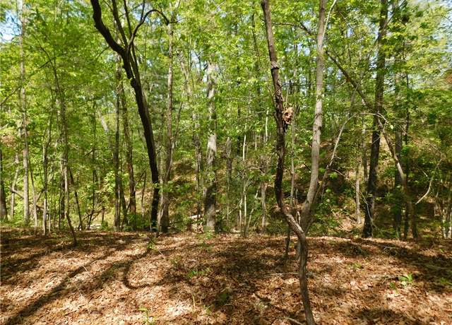 Property at 925 Mountain Breeze Ln, Salem, SC 29676