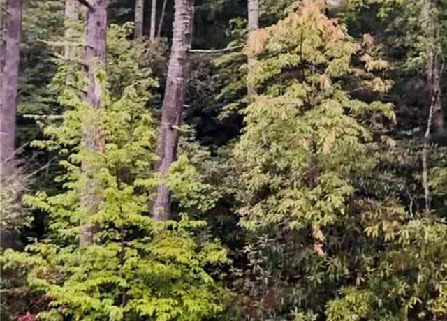 Property at 325 Evergreen Ridge Rd, Tamassee, SC 29686
