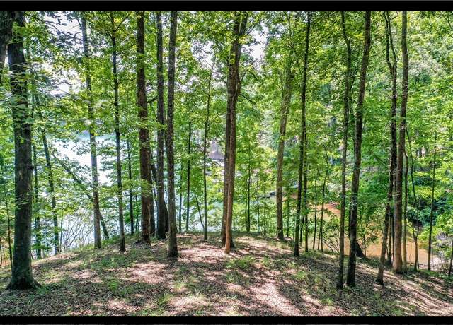 Property at Lot 62 Hearthstone Way, Salem, SC 29676