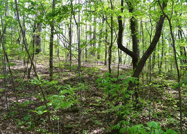 Property at 000 Cane Creek Dr, Seneca, SC 29672