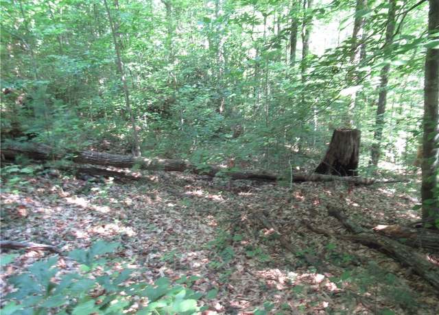 Property at 00 Gauley Falls Rd, Pickens, SC 29671