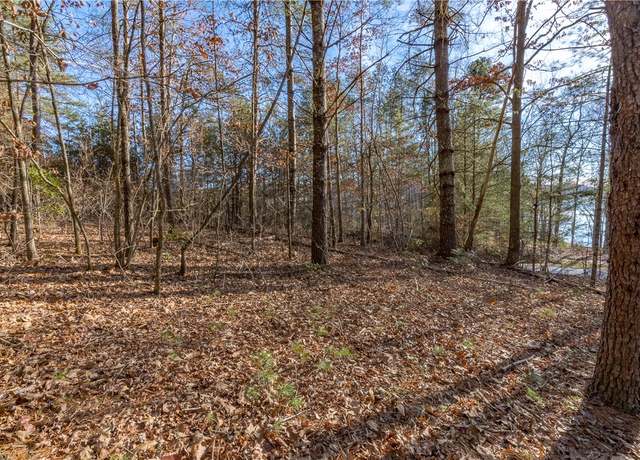 Property at Lot 46 Princess Tree Way, Sunset, SC 29685