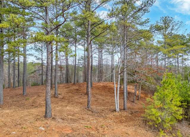 Property at 321 Golden Bear Dr, Sunset, SC 29685