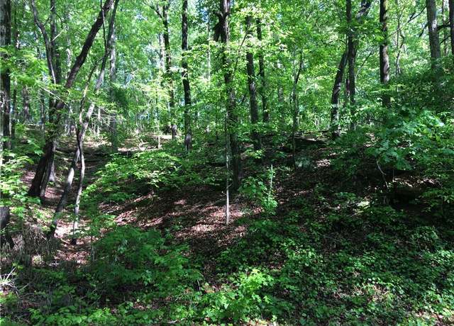 Property at 383 Beech Dr, Westminster, SC 29693