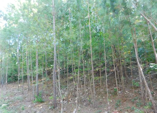 Property at Lot 6 Bentwood Way, Salem, SC 29676